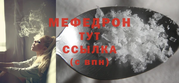 индика Абаза