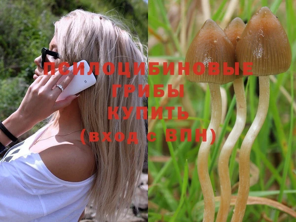 бошки Абдулино