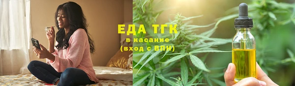 индика Абаза