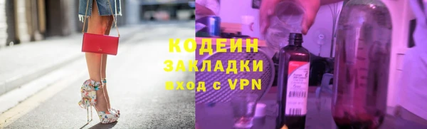 индика Абаза