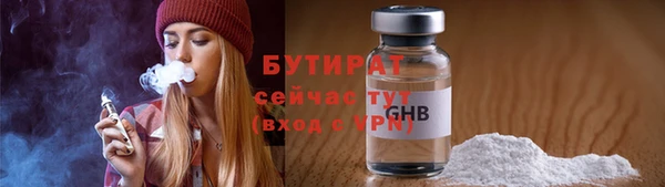 индика Абаза