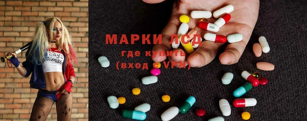 индика Абаза