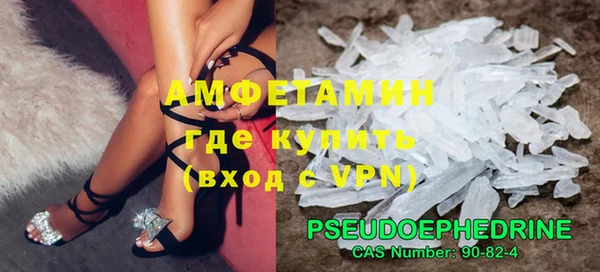 индика Абаза