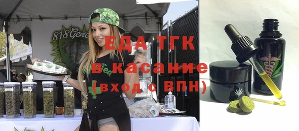 индика Абаза