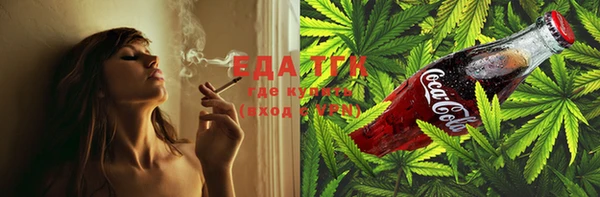 индика Абаза
