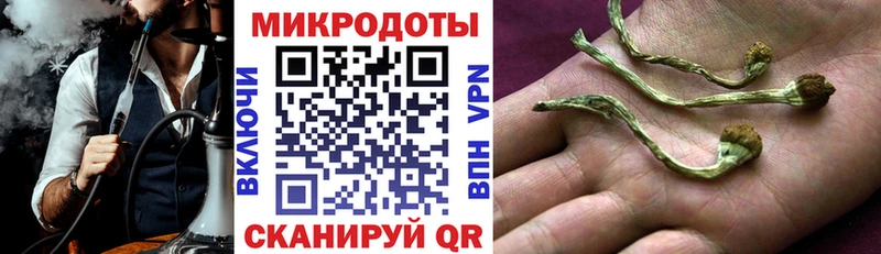 Псилоцибиновые грибы мухоморы  Купить где  Алапаевск 