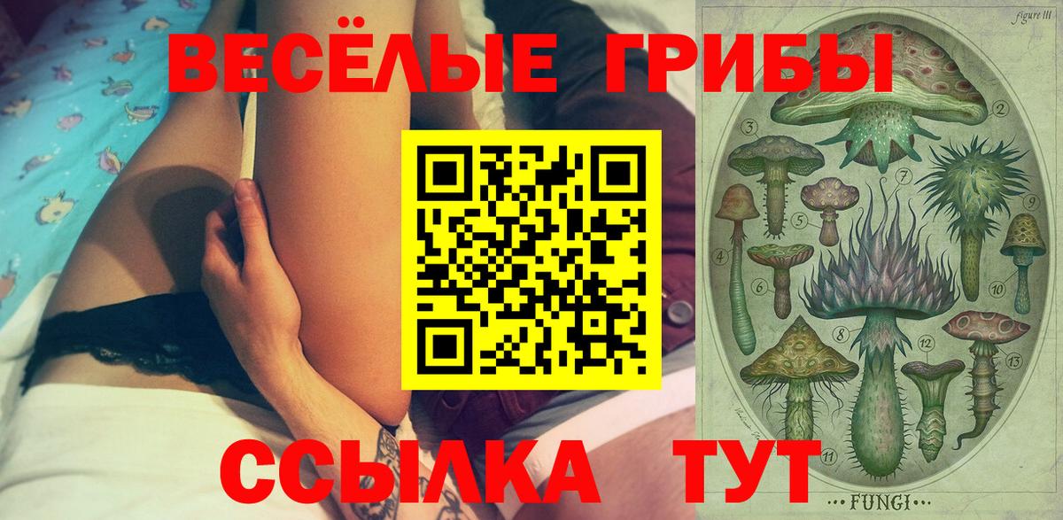 Галлюциногенные грибы Cubensis Алапаевск