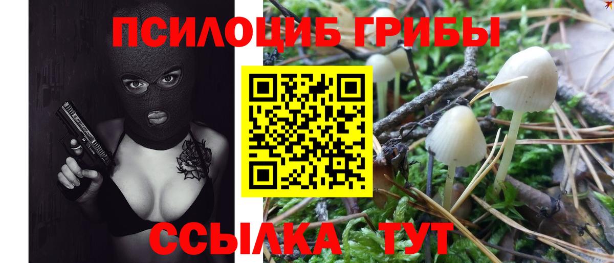 Галлюциногенные грибы Psilocybine cubensis  Галлюциногенные грибы ЛСД  Алапаевск  Вход с VPN 