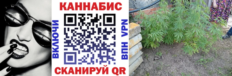 Марихуана Amnesia Алапаевск